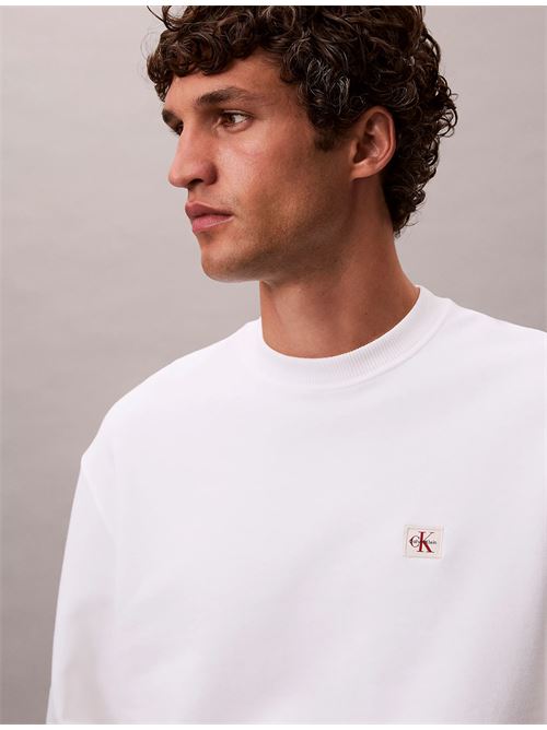 ls eu 350 terry badge crewneck sw CALVIN KLEIN JEANS | LV04RC273GYAF